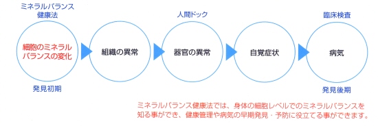 ミネラルバランス 健康法 体内ミネラル測定